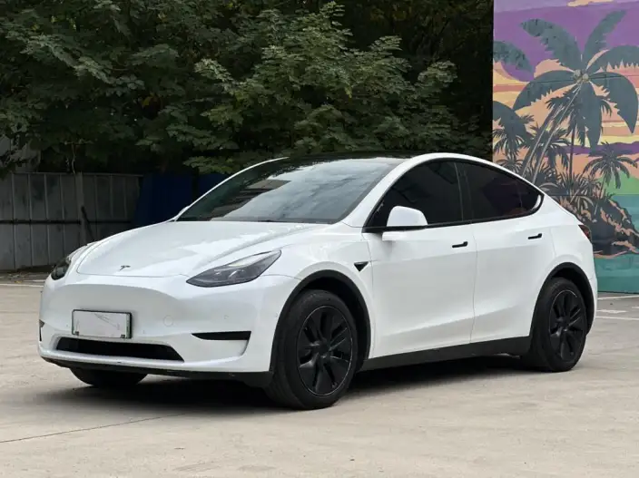Model Y 2023 Model Rear-wheel drive version – фото 1