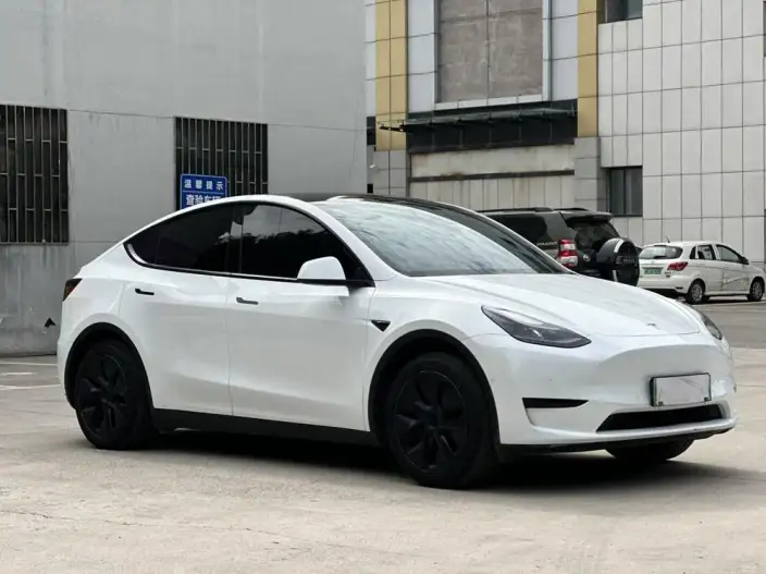 Model Y 2023 Model Rear-wheel drive version – фото 3