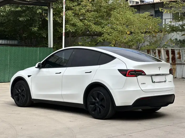 Model Y 2023 Model Rear-wheel drive version – фото 5