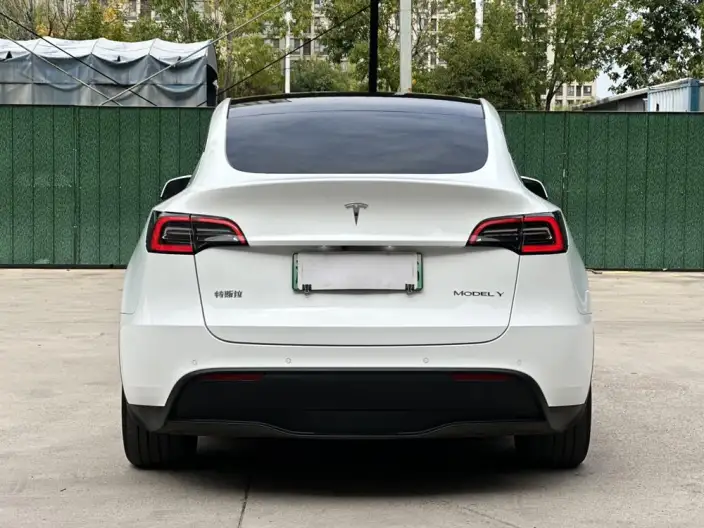 Model Y 2023 Model Rear-wheel drive version – фото 6