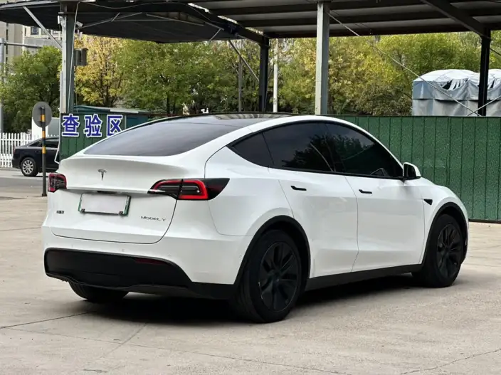 Model Y 2023 Model Rear-wheel drive version – фото 7