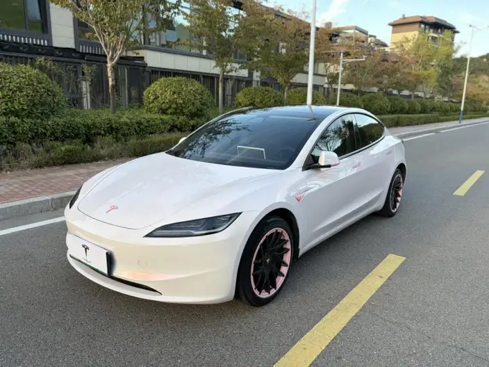 Model 3 2023 Model Rear-wheel drive version – фото 1