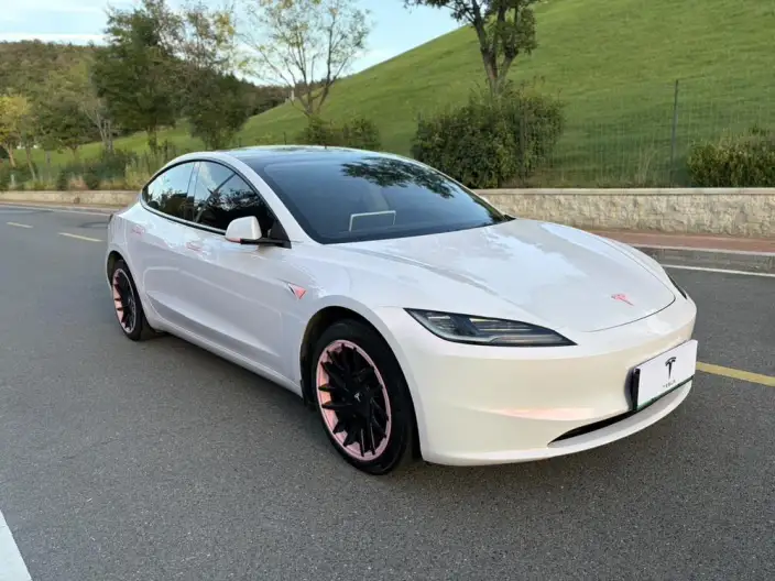 Model 3 2023 Model Rear-wheel drive version – фото 3