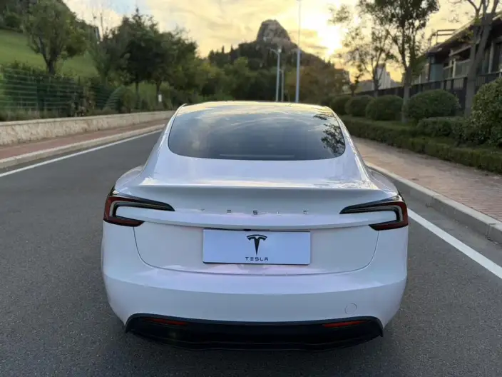 Model 3 2023 Model Rear-wheel drive version – фото 6