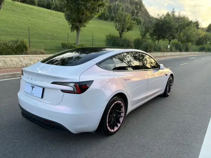 Model 3 2023 Model Rear-wheel drive version – фото 7
