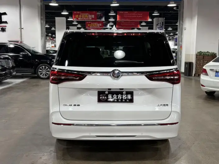 Buick GL8 2022 Model ES Luzun 653T Exclusive Model – фото 5