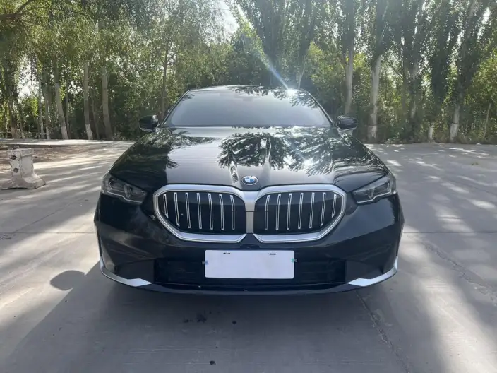 BMW 5 Series 2026 Model 530Li Leading Model Luxury Set – фото 2