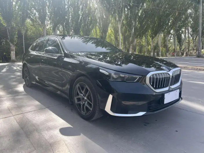 BMW 5 Series 2026 Model 530Li Leading Model Luxury Set – фото 3