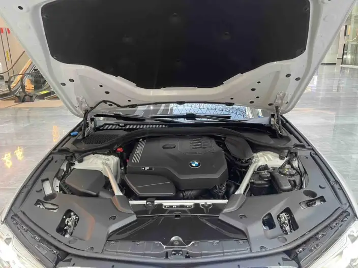 BMW 5 Series 2023 Model 530Li Exclusive Model M Sports Set – фото 6