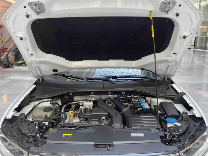 Volkswagen T-Roc 2023 Model 300TSI DSG Chenguang Edition – фото 6