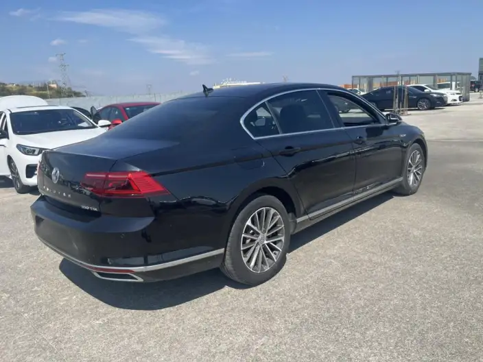 Volkswagen Magotan 2021 Model 330TSI DSG 30th Anniversary Memorial Edition – фото 6