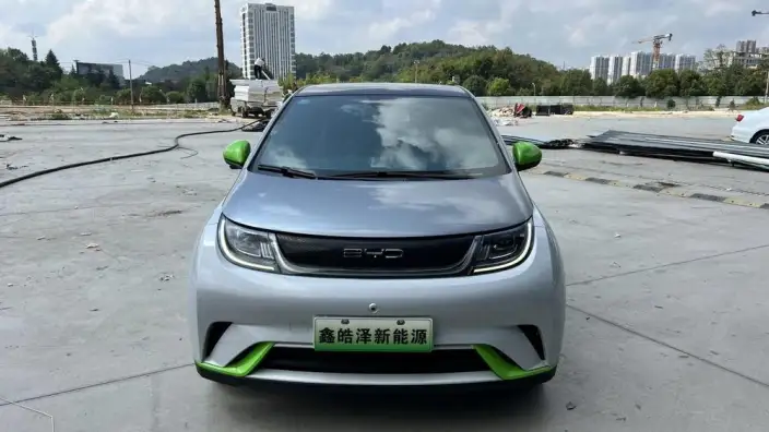 BYD Dolphin 2021 Model Fashion Edition – фото 2