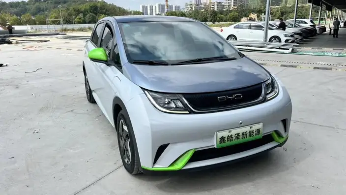 BYD Dolphin 2021 Model Fashion Edition – фото 3