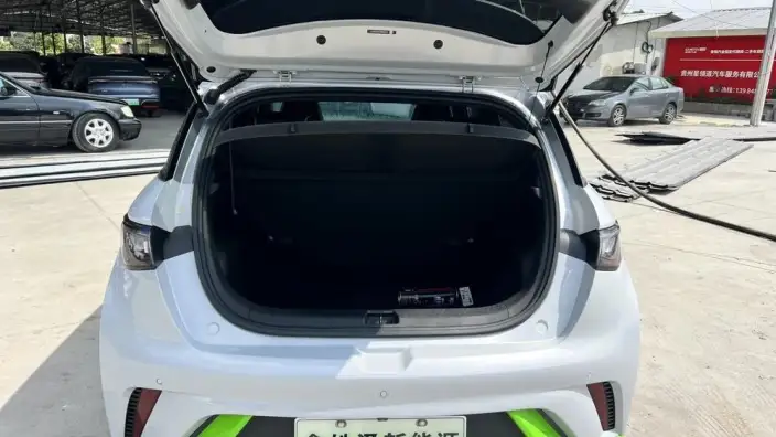 BYD Dolphin 2021 Model Fashion Edition – фото 9