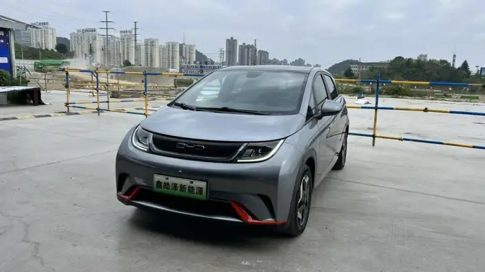 BYD Dolphin 2021 Model Fashion Edition – фото 1