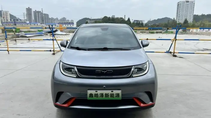 BYD Dolphin 2021 Model Fashion Edition – фото 2