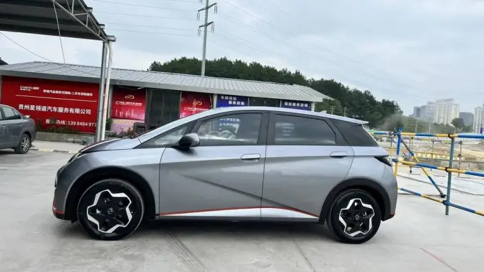 BYD Dolphin 2021 Model Fashion Edition – фото 4