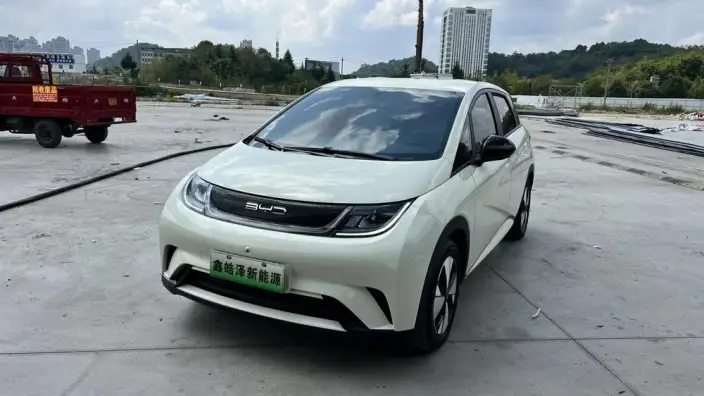 BYD Dolphin 2023 Model Free Edition – фото 1