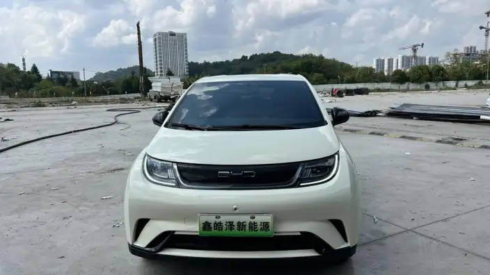 BYD Dolphin 2023 Model Free Edition – фото 2