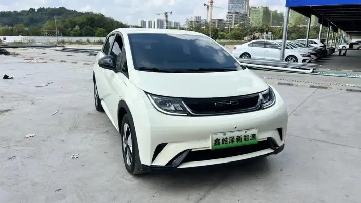 BYD Dolphin 2023 Model Free Edition – фото 3