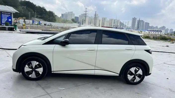 BYD Dolphin 2023 Model Free Edition – фото 4