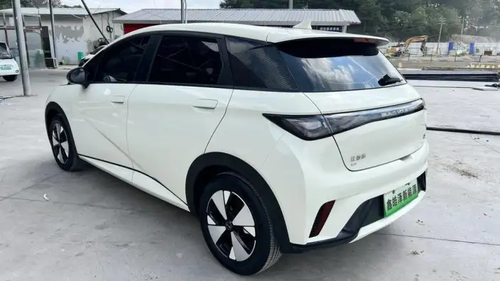 BYD Dolphin 2023 Model Free Edition – фото 5