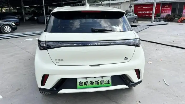 BYD Dolphin 2023 Model Free Edition – фото 6