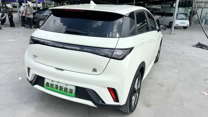 BYD Dolphin 2023 Model Free Edition – фото 7
