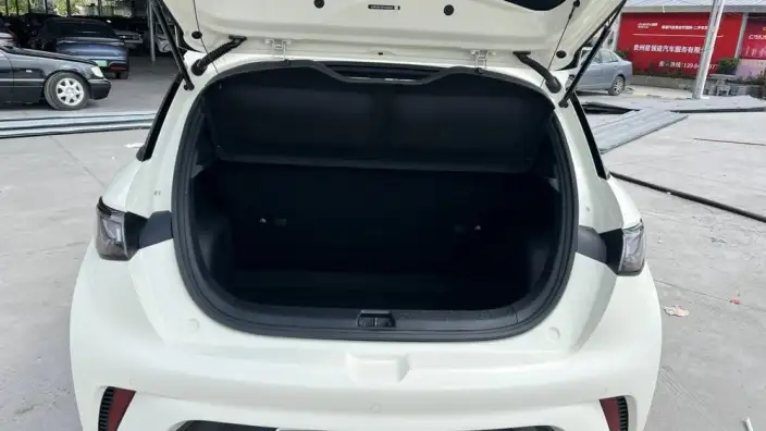 BYD Dolphin 2023 Model Free Edition – фото 9