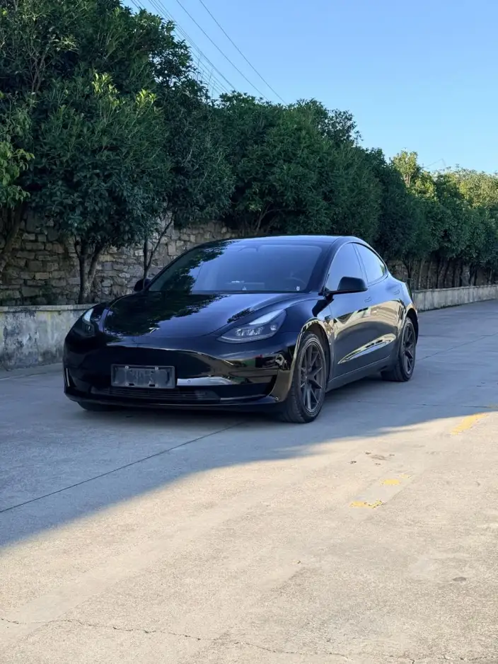 Model 3 2022 Model Rear-wheel drive version