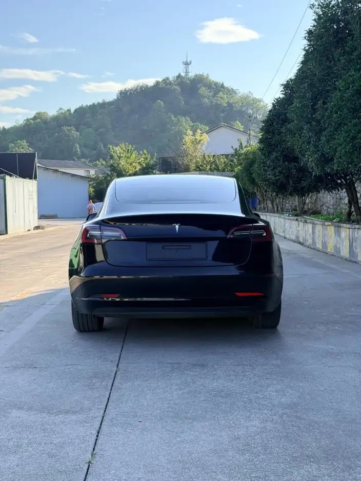 Model 3 2022 Model Rear-wheel drive version – фото 6