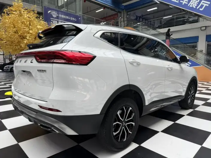 Haval H6 2021 Model Guo Trendy Edition 1.5T Automatic Urban Edition – фото 7