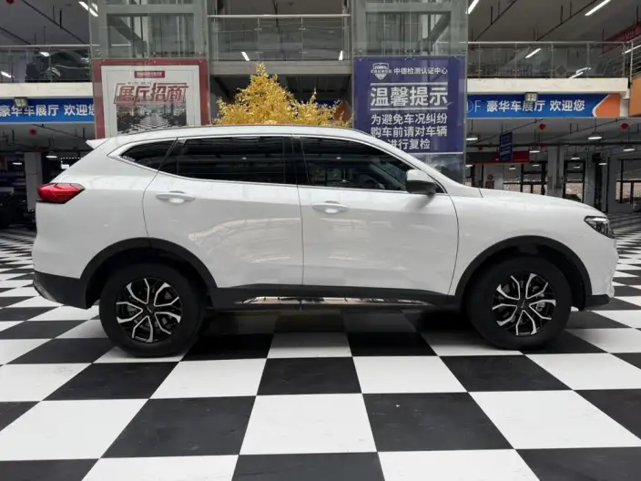 Haval H6 2021 Model Guo Trendy Edition 1.5T Automatic Urban Edition – фото 8