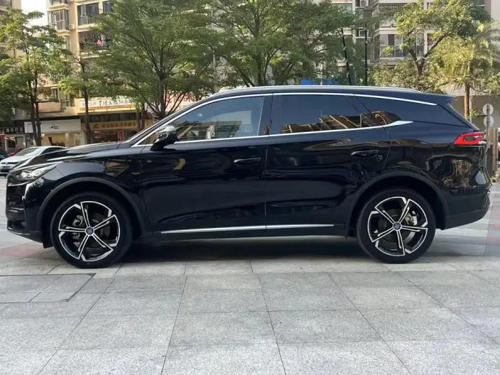 BYD Tang DM 2021 Model DM-i 1.5T 112KM Zunrong Model – фото 4