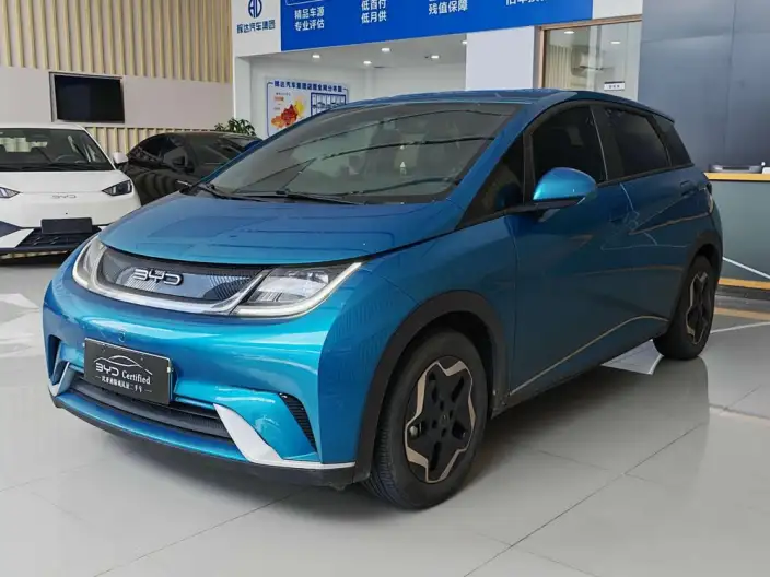 BYD Dolphin 2021 Model Free Edition – фото 1