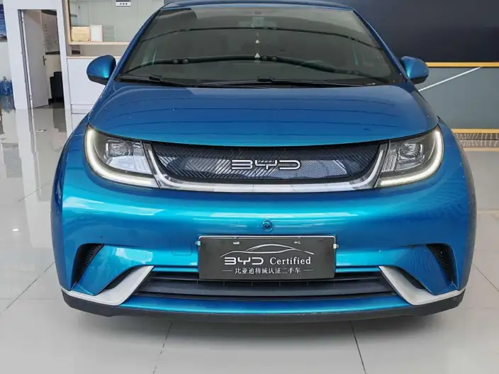 BYD Dolphin 2021 Model Free Edition – фото 2