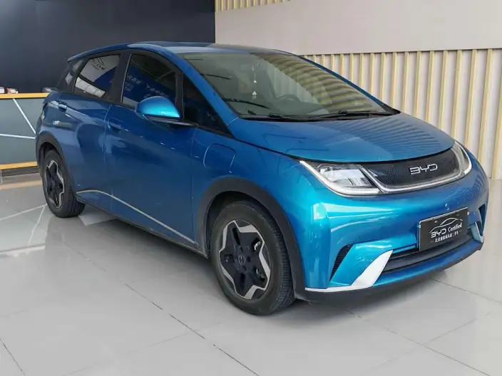 BYD Dolphin 2021 Model Free Edition – фото 3