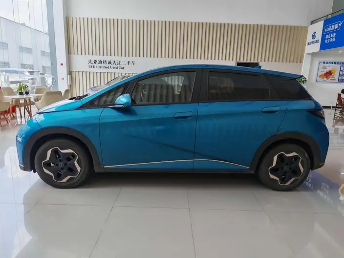 BYD Dolphin 2021 Model Free Edition – фото 4