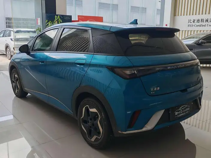 BYD Dolphin 2021 Model Free Edition – фото 5
