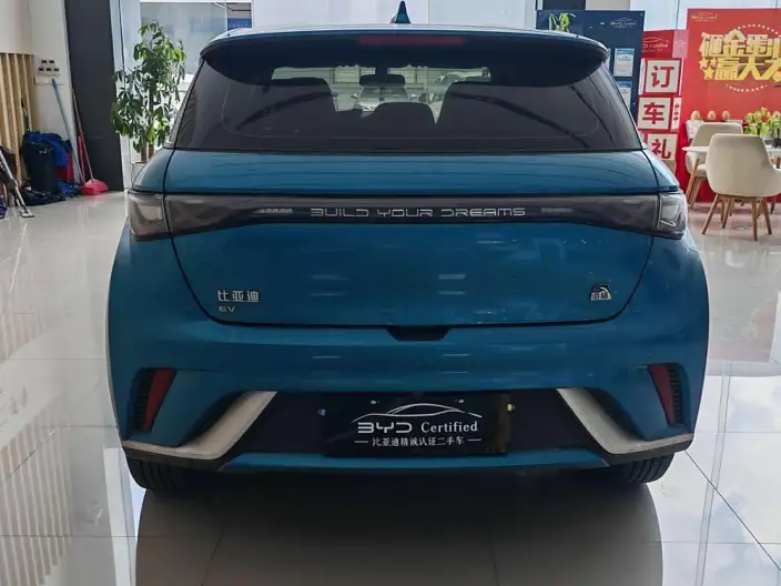 BYD Dolphin 2021 Model Free Edition – фото 6