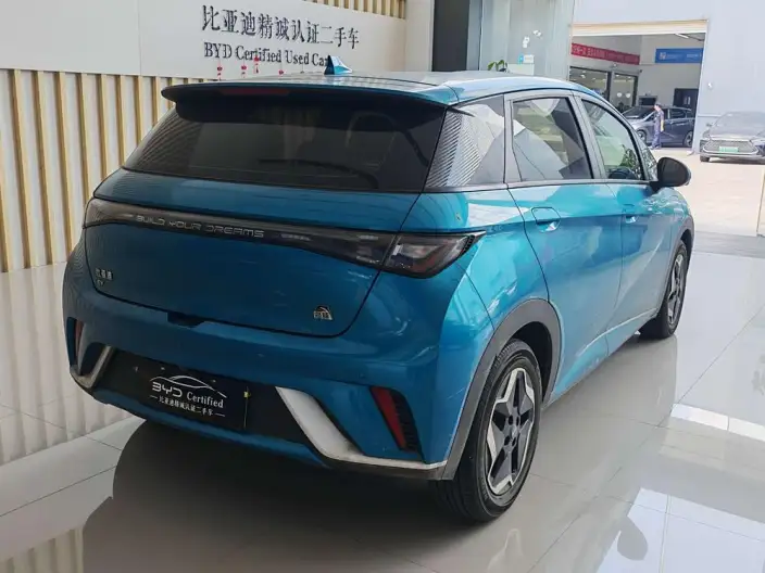 BYD Dolphin 2021 Model Free Edition – фото 7