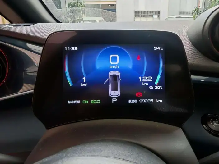 BYD Dolphin 2021 Model Free Edition – фото 9