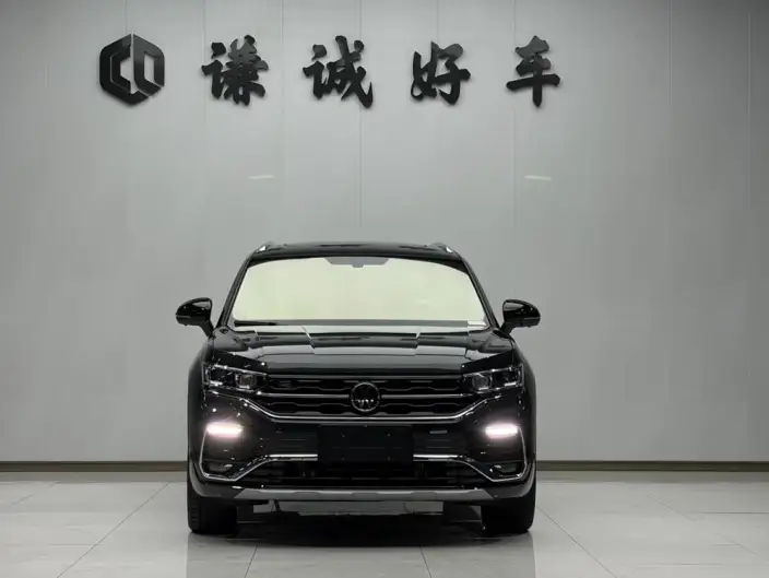 Tayron X 2020 Model 330TSI 2WD Flagship Zhilian Edition – фото 2
