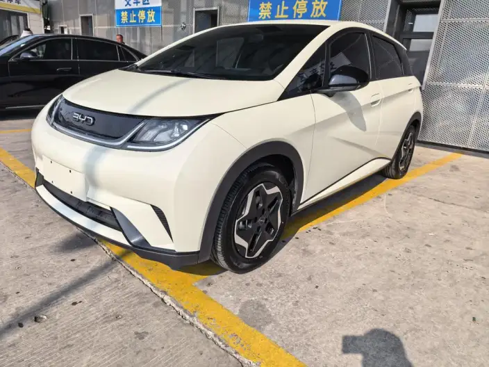 BYD Dolphin 2024 Model Honor Edition 302km Vitality Edition