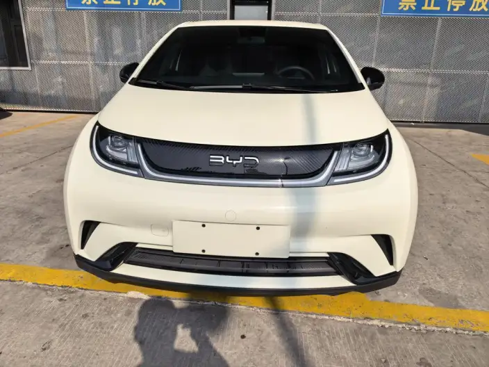 BYD Dolphin 2024 Model Honor Edition 302km Vitality Edition