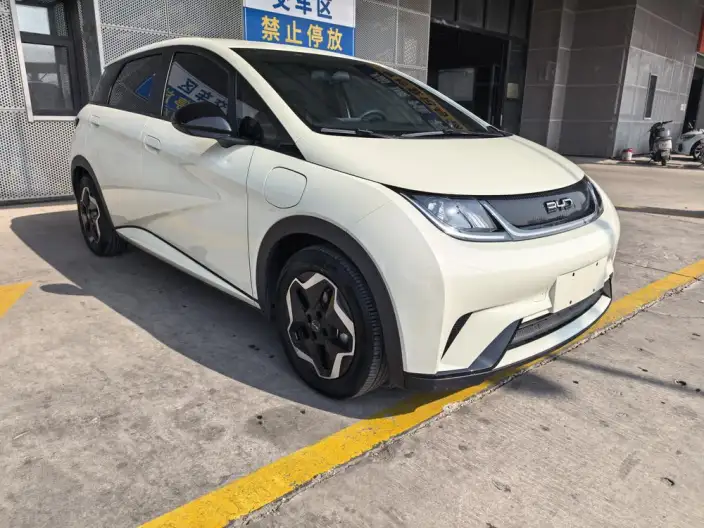 BYD Dolphin 2024 Model Honor Edition 302km Vitality Edition