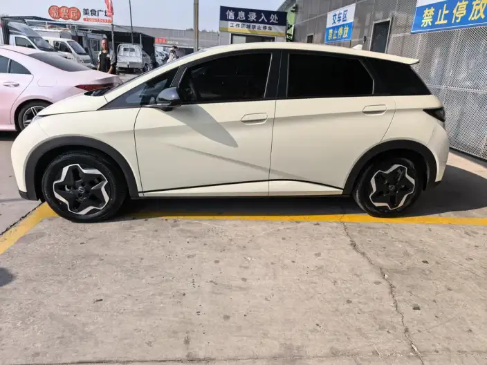 BYD Dolphin 2024 Model Honor Edition 302km Vitality Edition