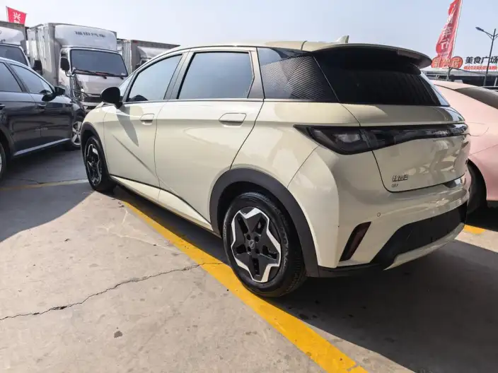 BYD Dolphin 2024 Model Honor Edition 302km Vitality Edition – фото 5