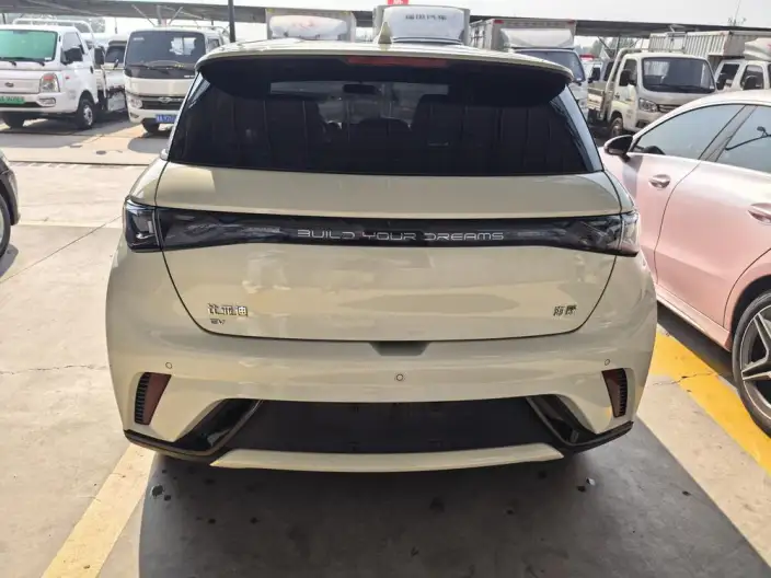 BYD Dolphin 2024 Model Honor Edition 302km Vitality Edition – фото 6