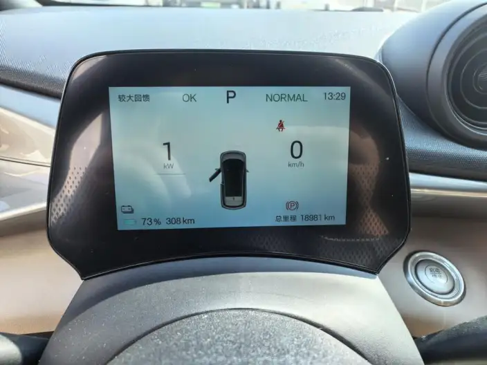 BYD Dolphin 2024 Model Honor Edition 302km Vitality Edition – фото 8